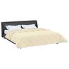 vidaXL Sommerdecke Creme 220 x 240 cm Mikrofaser und Teddy-Fleece
