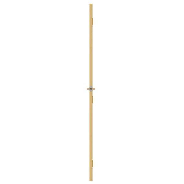 vidaXL Innent&uuml;r Schlank Golden 76x201,5 cm Hartglas und Aluminium