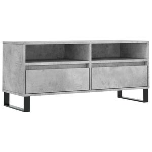 vidaXL TV-Schrank Betongrau 100x34,5x44,5 cm Holzwerkstoff