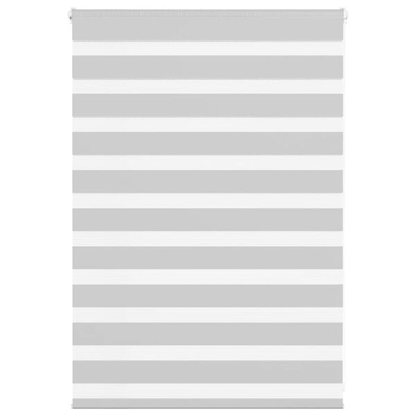 vidaXL Doppelrollo Hellgrau 110x100 cm Stoffbreite 105,9 cm Polyester