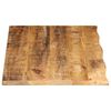 vidaXL Tischplatte 120x60x2,5 cm Baumkante Massivholz Raues Mangoholz
