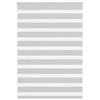vidaXL Doppelrollo Hellgrau 110x100 cm Stoffbreite 105,9 cm Polyester