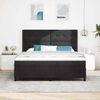 vidaXL Boxspringbett mit Matratze Schwarz 180 x 200 cm Samt