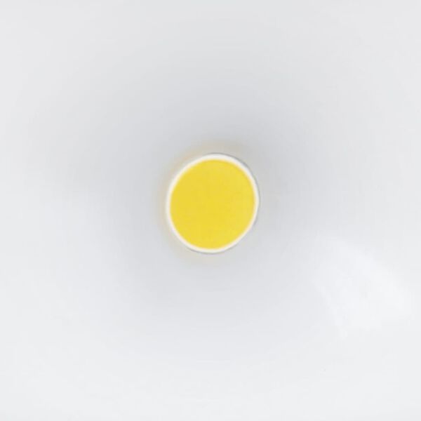 Steinel Sensor-Au&szlig;enstrahler LS 150 LED Schwarz 052546