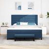 vidaXL Boxspringbett mit Kopfteil Blau 180 x 200 cm Stoff