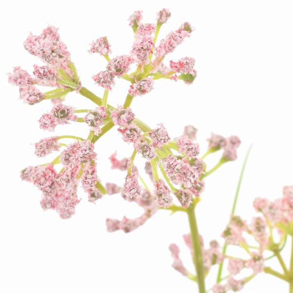 vidaXL Künstliche Flora 95 cm Kunststoff