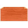 vidaXL Pflanzk&uuml;bel Wachsbraun 100x100x46 cm Massivholz Kiefer