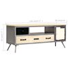 vidaXL TV-Schrank Massivholz Mango und Stahl 120x30x45 cm