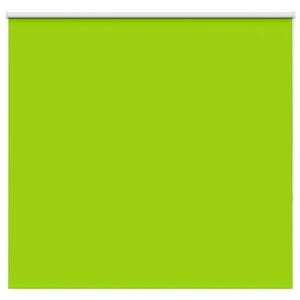 vidaXL Verdunkelungsrollo Gr&uuml;n 150x175cm Stoffbreite 146,6cm Polyester