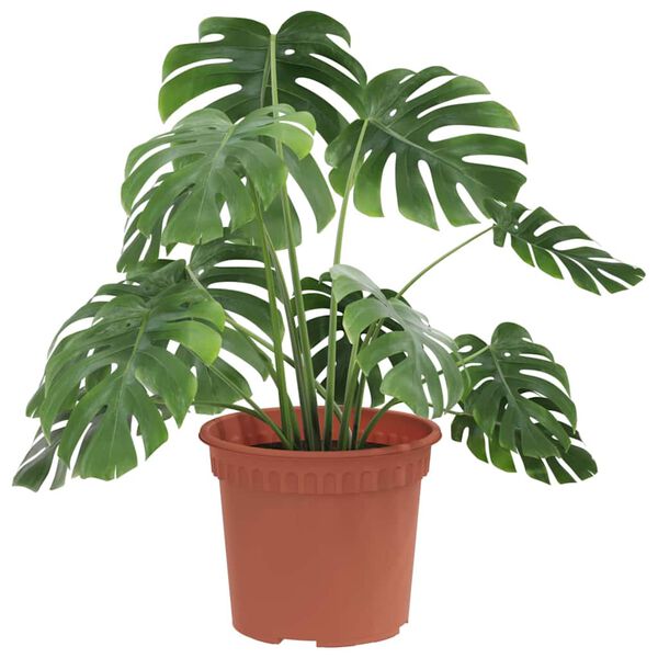 vidaXL Runder Blumentopf 6 pcs Ziegelrot &Oslash; 12,5 x 10 cm Kunststoff