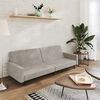 vidaXL Schlafsofa 2-Sitzer Hellgrau Samt