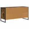 vidaXL TV-Schr&auml;nk Raucharbe 100 x 36 x 49,5 cm Holzwerkstoff