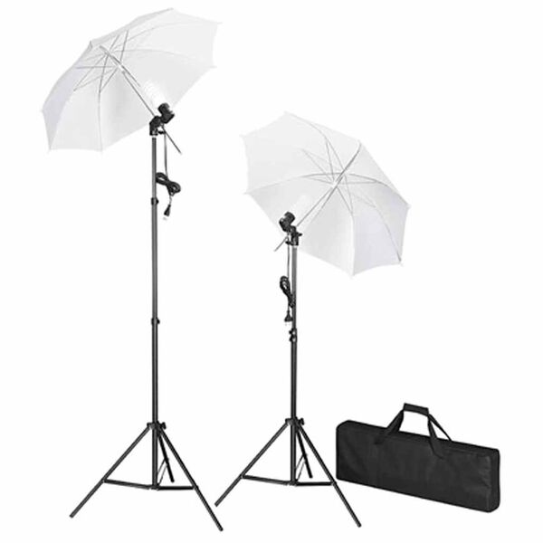 vidaXL Fotostudio-Set mit Schwarzem Hintergrund 600×300 & Leuchten