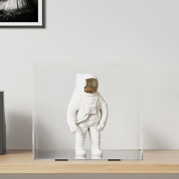 vidaXL Displaybox Transparent 40x36x35 cm Acryl