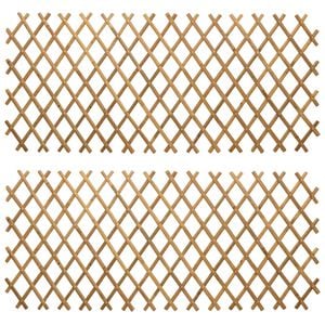 vidaXL Erweiterbares Spalierzaun 2 Stk. 100 x 105 cm Bambus Hellbraun