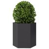 Produkt-Miniaturbild 5 von 13