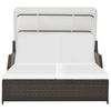 vidaXL 2-Personen-Sonnenliege mit Sonnendach Poly Rattan Braun