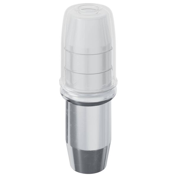 vidaXL Regalstecker 12 pcs Silber 7 x 16 mm Eisen