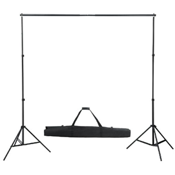 vidaXL Fotohintergrund-System 300 x 300 cm Schwarz