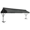 vidaXL Freistehende Markise 600x300 cm Anthrazit