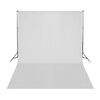 vidaXL Fotostudio-Set mit Lampen und Hintergrundsystem