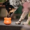 West Paw Hundespielzeug mit Zogoflex Toppl Orange S