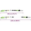 vidaXL 2-in-1 Teleskopstangen-Kettensäge/Heckenschere 25/41 cm 710/550W
