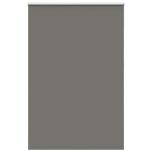 vidaXL Verdunkelungsrollo Grau 160x210cm Stoffbreite 156,6cm Polyester