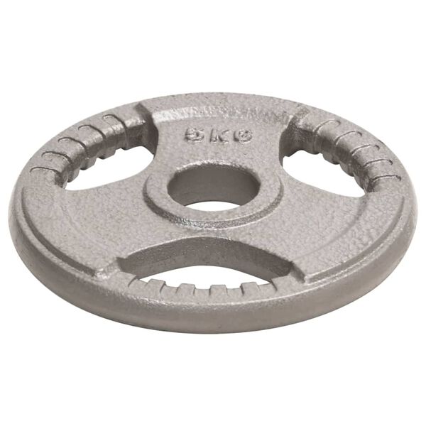 vidaXL Olympische Hantelscheiben 4 Stk. 20 kg Gusseisen