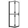 vidaXL Faltbare Duschkabine ESG Schwarz 120x140 cm