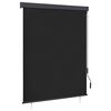 vidaXL Au&szlig;enrollo 140x250 cm Anthrazit
