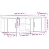 vidaXL TV-Schrank R&auml;uchereiche 100x31,5x35 cm Holzwerkstoff