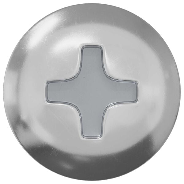 vidaXL Selbstschneidender Nagel 2 pcs Zink-beschichtet 4 x 25 mm Stahl