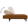 vidaXL Schlafsofa 2-Sitzer Braun Samt