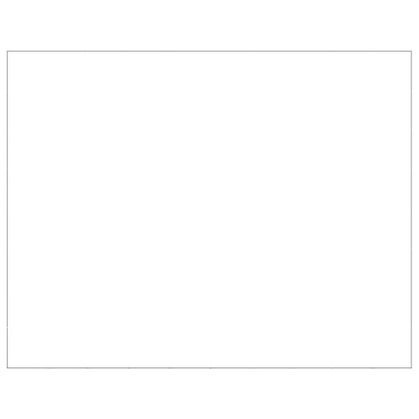 vidaXL Hundezwinger Silbern 80 m² Stahl