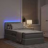 vidaXL Bett mit Stauraum und LED mit LED Hellgrau 90 x 190 cm Stoff