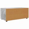 vidaXL TV-Schr&auml;nk Beton Grau 100 x 48 x 43 cm Holzwerkstoff