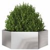 vidaXL Pflanzkübel Sechseckig 138x120x45 Edelstahl
