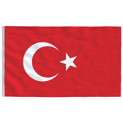 vidaXL Flagge der Türkei und Mast Aluminium 6,2 m