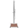 vidaXL Gartendusche mit Bodenelement WPC Edelstahl