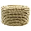 vidaXL Bootsseil 12 mm 250 m Natur