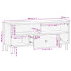 vidaXL TV-Schrank 100x33x46 cm Massivholz Mango