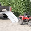 vidaXL Rampe f&uuml;r Rollst&uuml;hle 270 kg Silber 270 kg Aluminium