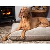 Scruffs & Tramps Hundebett Memory Foam Chateau Gr&ouml;&szlig;e M Latte 1591