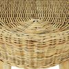 vidaXL Flurbank 160 x 35 x 45 cm Rattan Natur