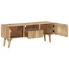 vidaXL TV-Schrank 140x30x49 cm Massivholz Mango