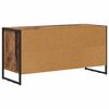 vidaXL TV-Schr&auml;nk Altholz 100 x 36 x 49,5 cm Holzwerkstoff