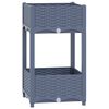 Blue_grey