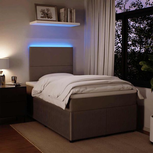 vidaXL Boxspringbett mit Matratze Hellgrau 120x200 cm Samt