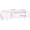 vidaXL Couchtisch 100x54x40 cm Massivholz Mango